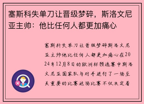 塞斯科失单刀让晋级梦碎，斯洛文尼亚主帅：他比任何人都更加痛心